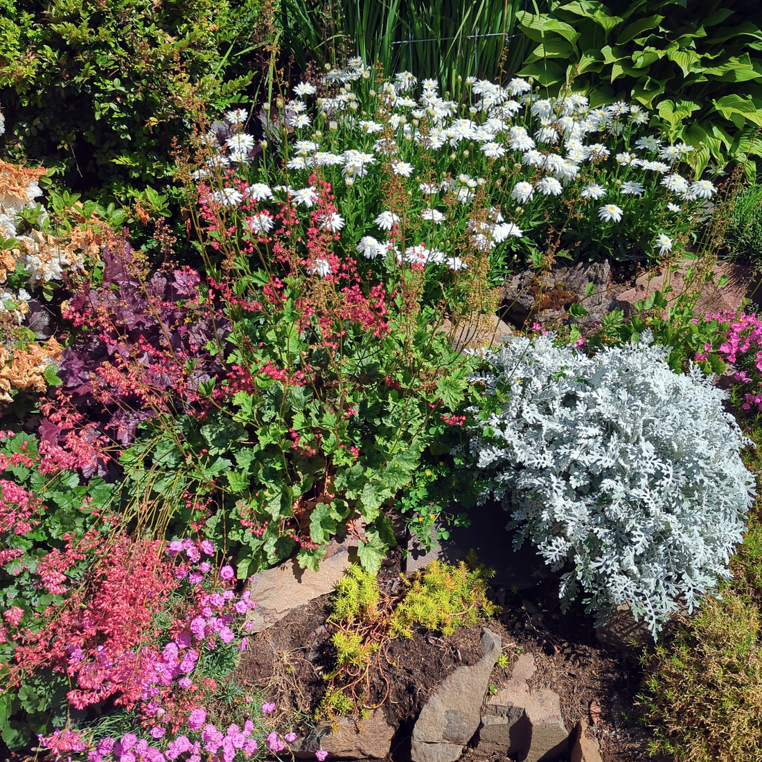 Colorful Front Yard Makeover