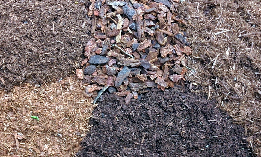Mulching (Bark Dust)